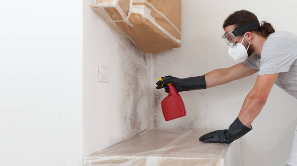 Professional Basement Mold Remediation technician working in Dublin, TX