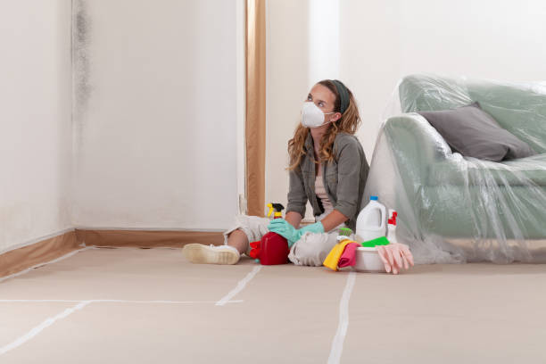 Reliable Basement Mold Remediation contractor in Dublin, TX by 24 Hour Mold Removal